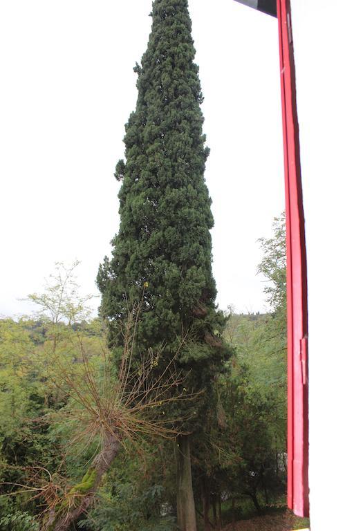Il Vecchio Cipresso Apartment San Gimignano Ngoại thất bức ảnh